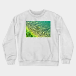 Overview from Santarelli lakes with greenery, yellow flowers and crystalline waters with stones Crewneck Sweatshirt